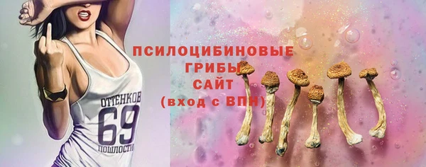 гидра Кинешма