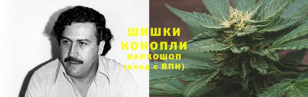 гидра Кинешма