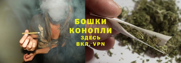 гидра Кинешма