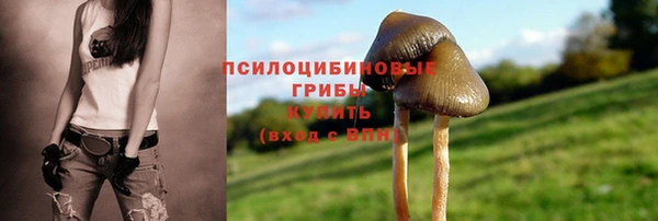 мяу мяу мука Киренск