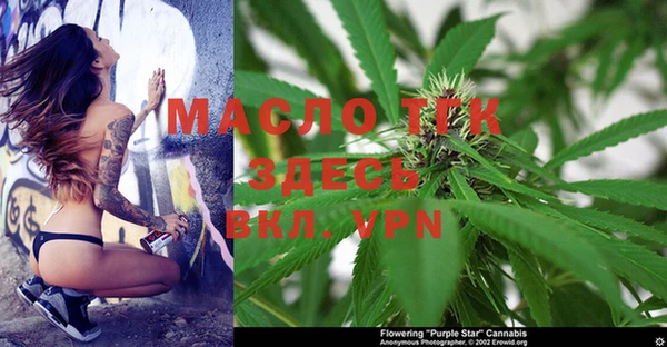 гидра Кинешма