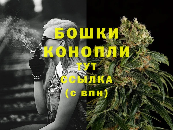 гидра Кинешма