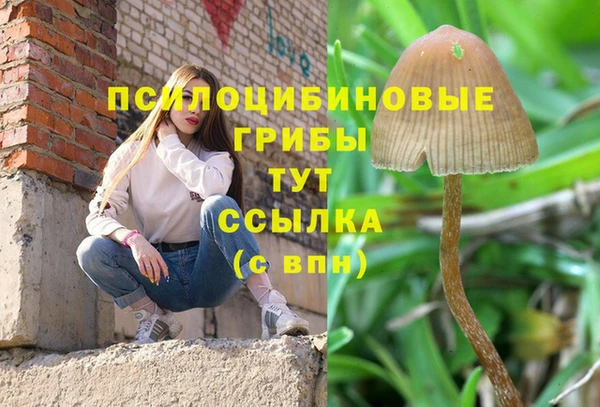 мяу мяу мука Киренск