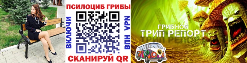 Купить  Заозёрный  Псилоцибиновые грибы Psilocybe 